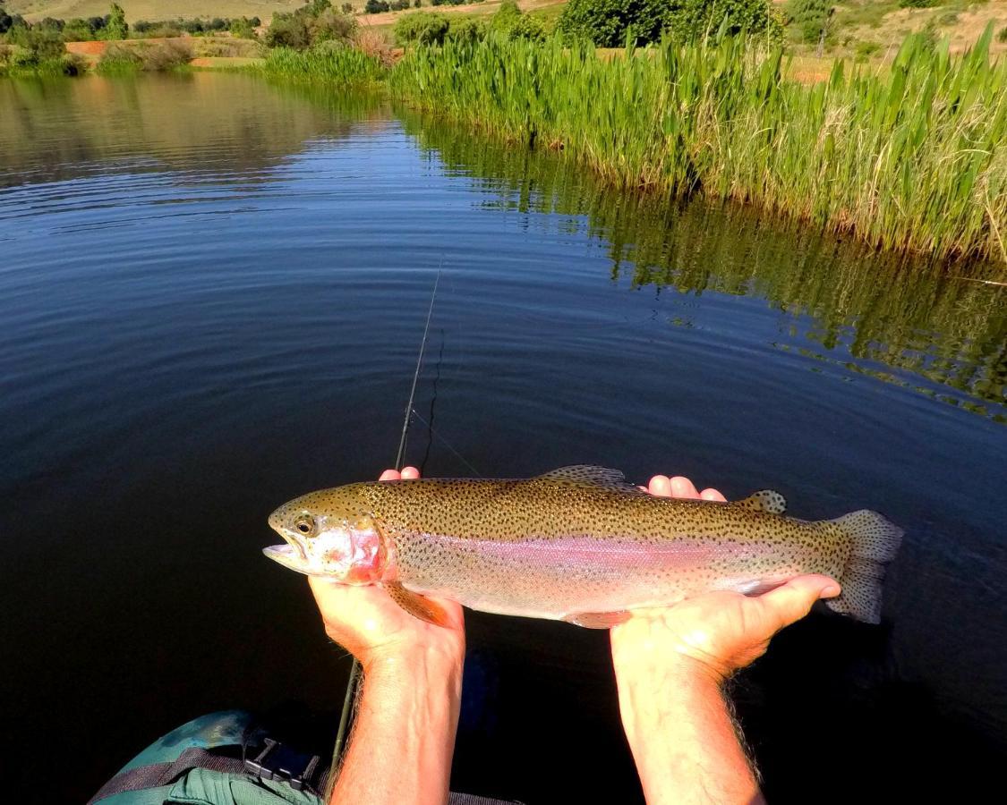 Walkersons Trout And Nature Haven Dullstroom Exterior foto